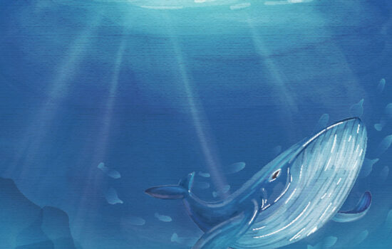 Jonah